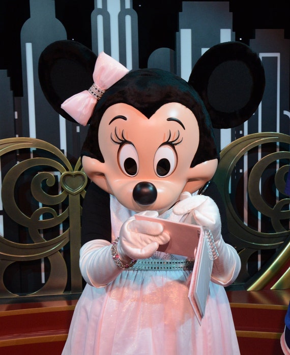Libro de autógrafos personalizado, Disney Land o Disney World, Mickey o  Minnie -  México
