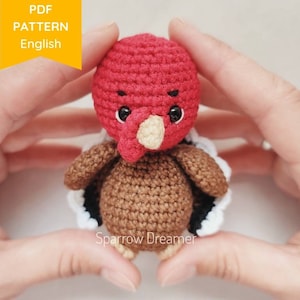 May include: A crocheted turkey amigurumi toy with a red head, brown body, and white and black tail feathers. The toy is being held in a person's hands.