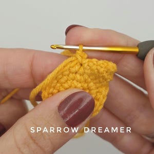 Patrón de mini estrella de ganchillo Amigurumi: PDF en inglés (NO apto para principiantes) imagen 6