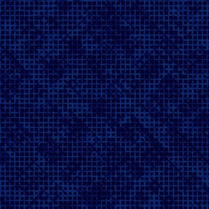 May include: A dark blue background with a pattern of small, white squares.