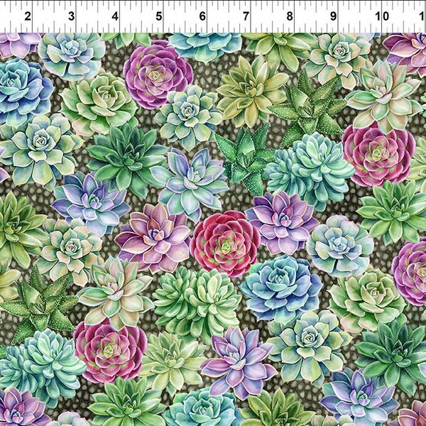 Botanical Succulent Print 4BL-1 by Jason Yenter for In The Beginning Fabrics