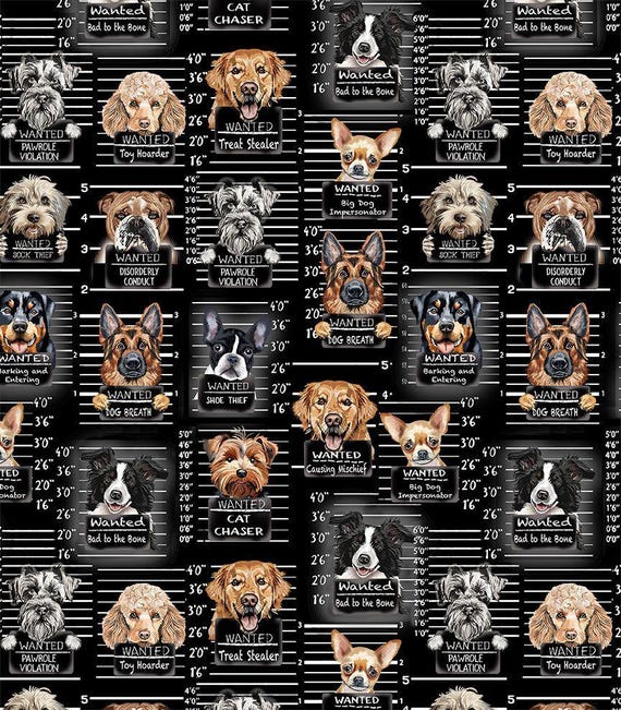 Dog's Rule Dog Mug Shots CD3888-Black from Timeless Treasures Fabrics
