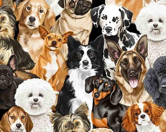 Dogs Rule Packed Dogs CD8553-Multi From Timeless Treasures Fabrics
