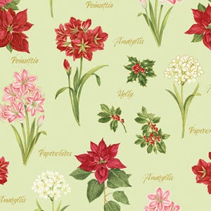 A Botanical Season Holiday Botanical Print on Celery 13462M-40 by Jackie Robinson for Benartex Fabrics