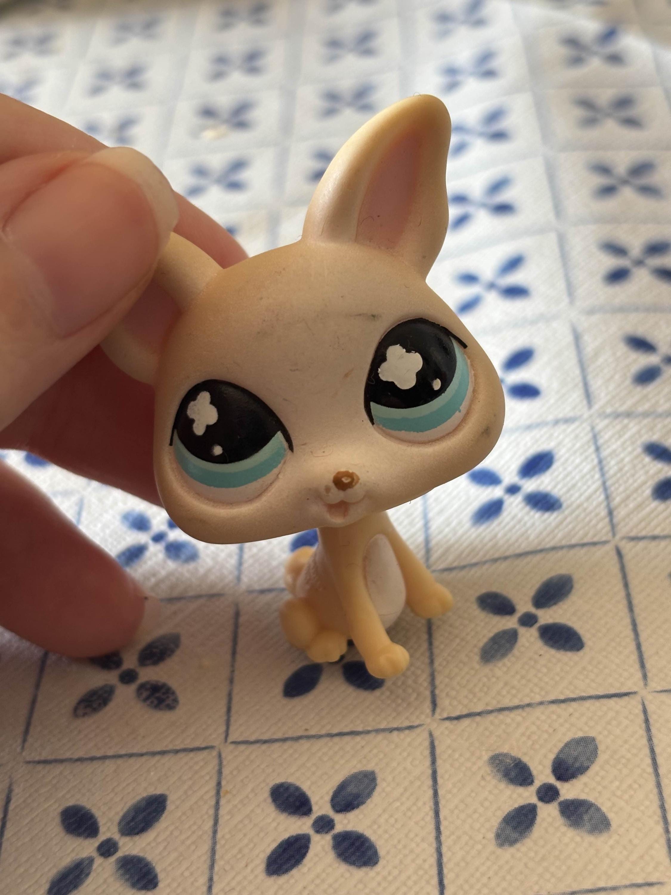 Littlest Pet Shop LPS Chihuahua 837 Etsy