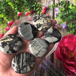 Six silver leaf jasper pocket stone being held up to showcase colors and patterns of each stone with a floral and wood background.