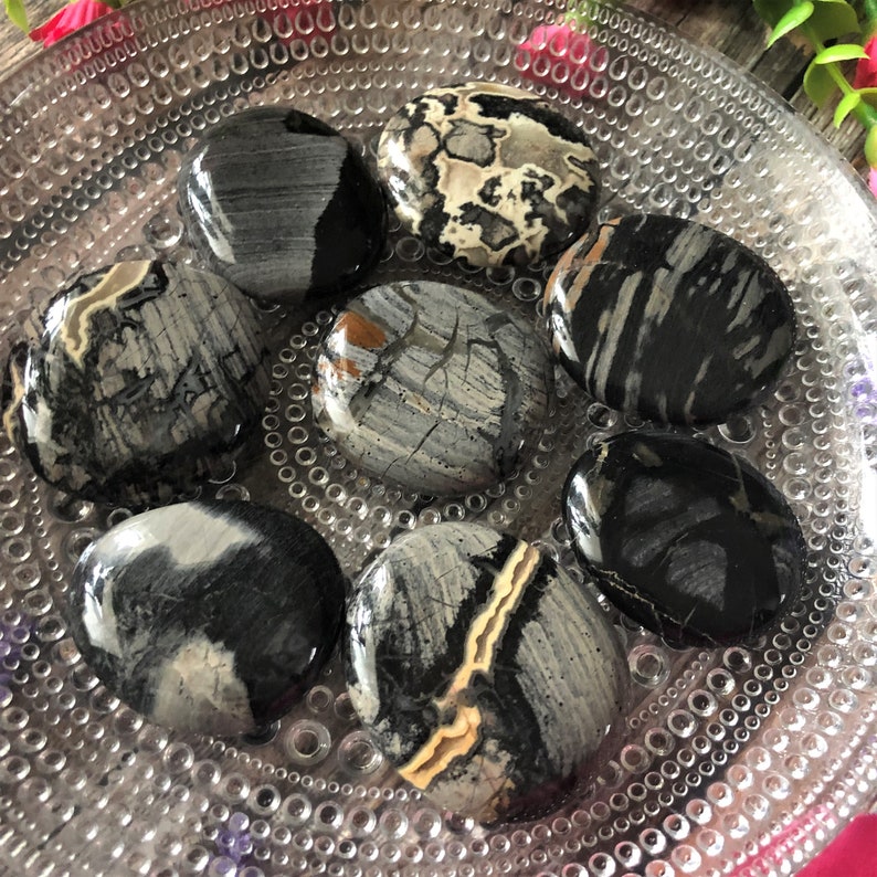 A close up of eight Silver Leaf Jasper pocket stones arranged on a clear vintage hobnail glass plate.