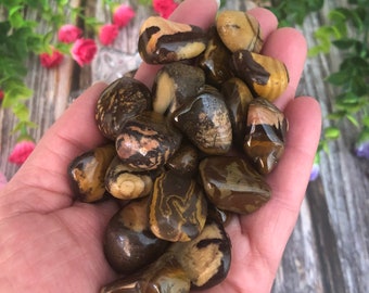 Picture Jasper Tumbled Stone - Small