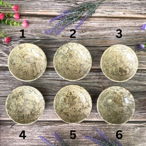 Marble Fossil Bowl - Trinket and Jewelry Dish