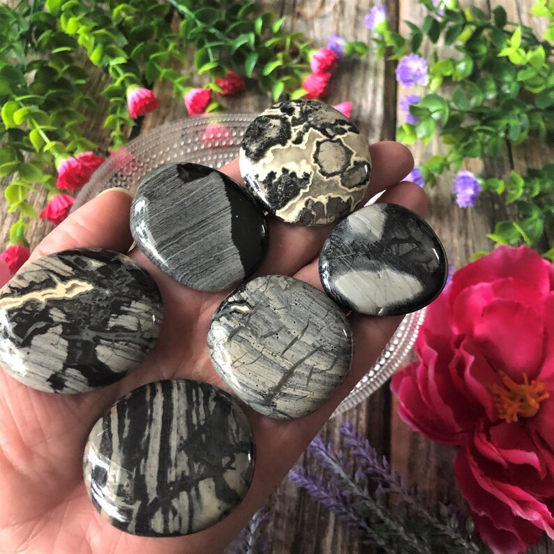 Six silver leaf jasper pocket stone being held up to showcase colors and patterns of each stone with a floral and wood background.