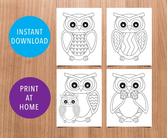 4 Owl Coloring Sheets Size 8.5x11 and A4