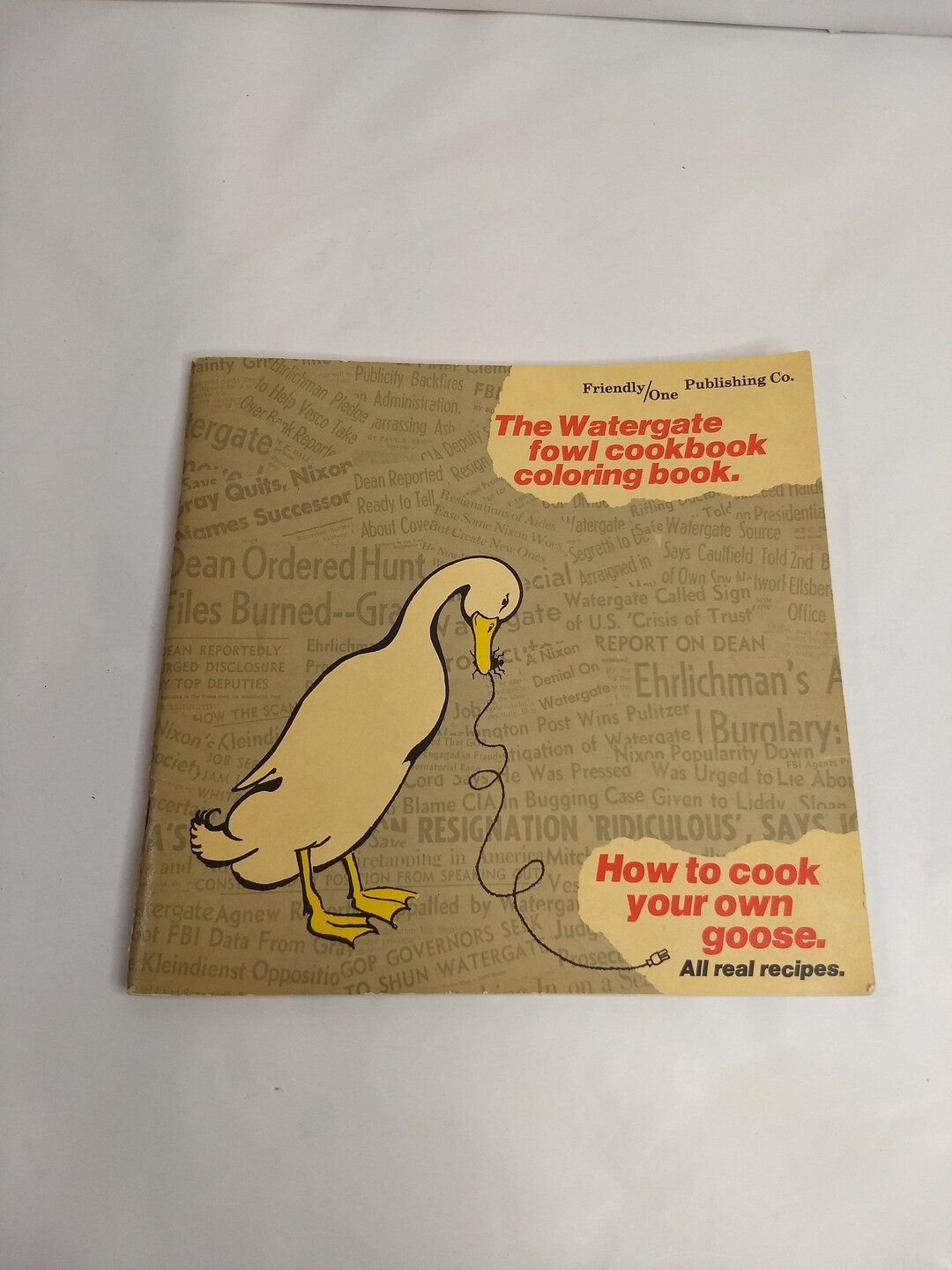 The Watergate Fowl Cookbook Coloring Book Paperback Vintage Etsy