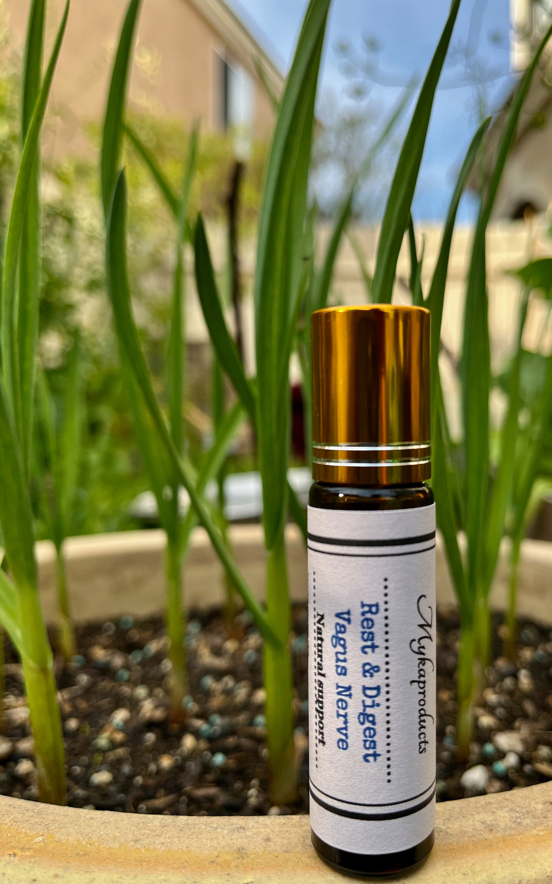 Vagus Nerve,rest and Digest Relief, Constipation, Nerve Healing Etsy