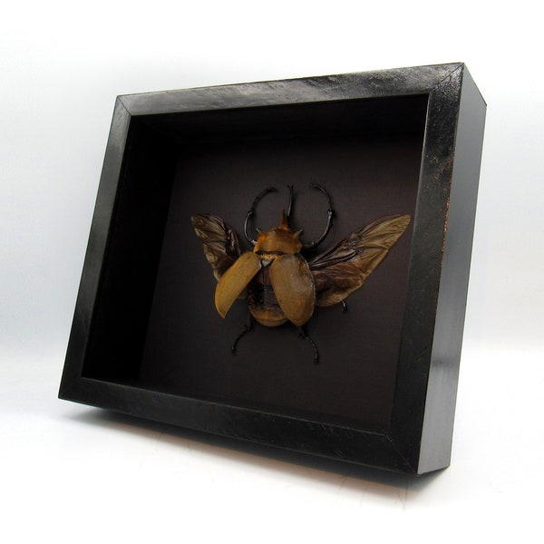 Taxidermy Elephant Etsy