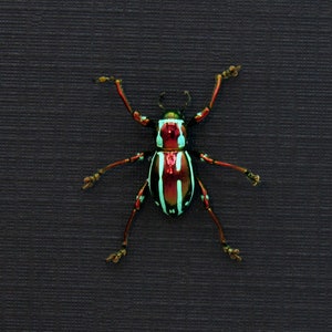 May include: A vibrant green and red beetle with black stripes and white accents. The beetle has long legs and antennae.