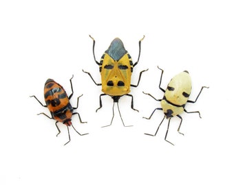 Real bugs with human faces dancing :)