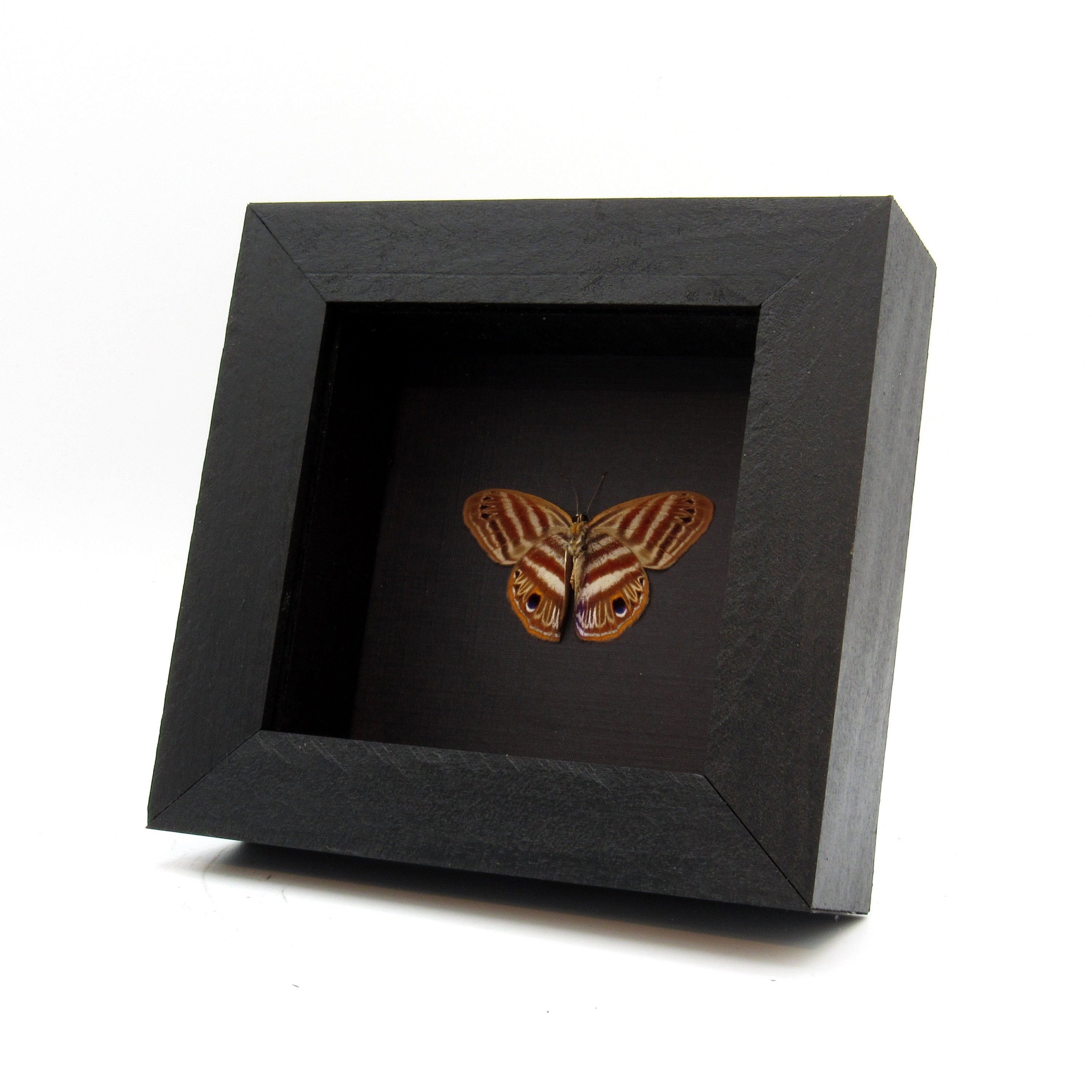Small-Vintage-800-Silver-