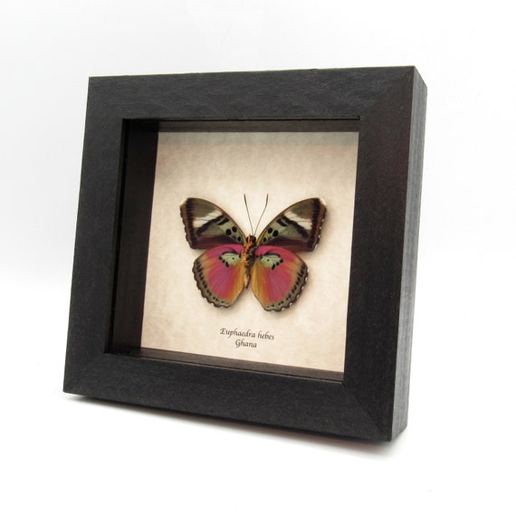 Hebe and Butterfly Cosmetic Mirror Hebe and Butterfly Cosmetic Mirror