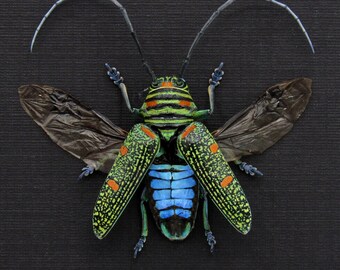 珍しいターコイズ色の大きなカミキリムシの額入り - Anoplophora