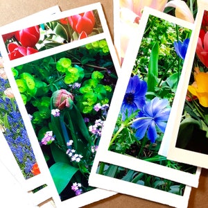 Set regalo di cancelleria floreale/ Fotografie floreali dei giardini Keukenhof/ 8 biglietti da visita con giardino fiorito/ Biglietti di auguri vuoti 5 x 7 per tutte le occasioni
