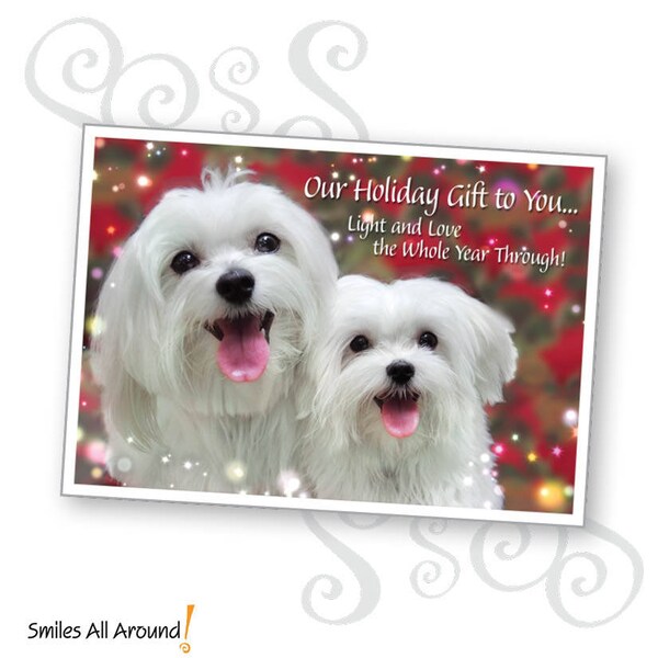 Our Holiday Gift to You… greeting card featuring smiling Maltese dogs.