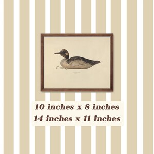 Vintage Duck Art Print Antique Duck Decoy Boy Nursery Mallard Duck Decor Hunting Theme Nursery image 3