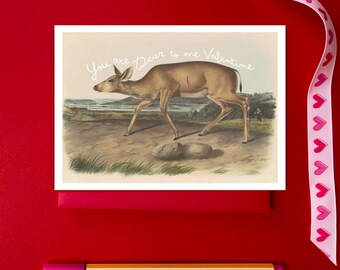Hunting Valentine for Him You are Dear to Me Vintage Deer Hunting Art