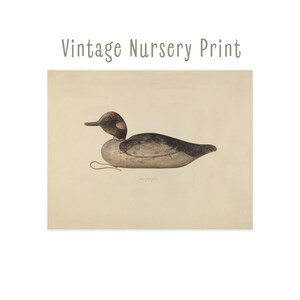 May include: Vintage nursery print featuring a detailed illustration of a duck decoy. The duck has a dark head and back, with a lighter-colored body. The print includes the text "Vintage Nursery Print" at the top.