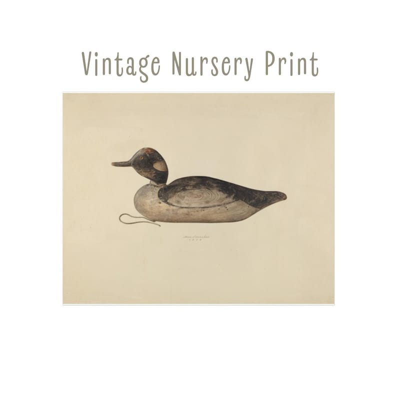 May include: Vintage nursery print featuring a detailed illustration of a duck decoy. The duck has a dark head and back, with a lighter-colored body. The print includes the text "Vintage Nursery Print" at the top.