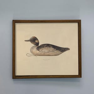 Vintage Duck Art Print Antique Duck Decoy Boy Nursery Mallard Duck Decor Hunting Theme Nursery image 1