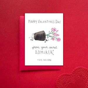 Buon San Valentino dal cane, Buon San Valentino da un ammiratore segreto, San Valentino divertente, San Valentino divertente dal cane, Ammiratore segreto del cane