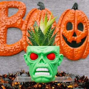 May include: A green zombie head planter with red eyes and white teeth holds a succulent plant. The word "BOO" is spelled out with orange letters and pumpkin decorations in the background. Halloween decor.