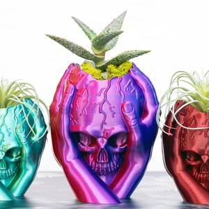 May include: Three colorful skull-shaped planters, each with a unique plant. The planters are in shades of teal, purple, and red, with hands cradling the skull. The plants have long, thin green leaves.