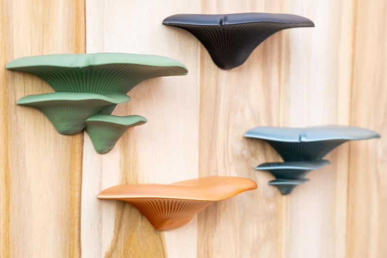 Mushroom Wall Shelves Set – Fungi Floating Shelves, Cottagecore Fairy ...