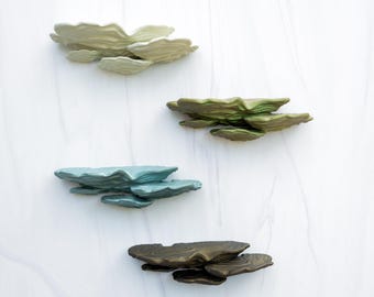 Stereum Ostrea Mushroom Shelf | Woodland Wall Shelf, Cottagecore Fungi Decor, Fairycore Crystal Shelf,