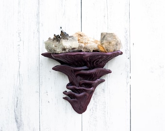 Pleurotus Djamor Mushroom Shelf | Pink Oyster Wall Shelf, Cottagecore Fungi Decor, Plant & Crystal Display