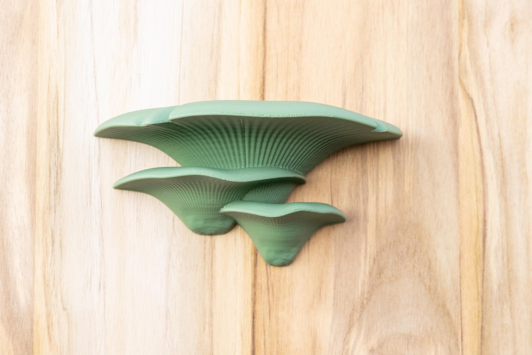 Mushroom Wall Shelves Set – Fungi Floating Shelves, Cottagecore Fairy ...