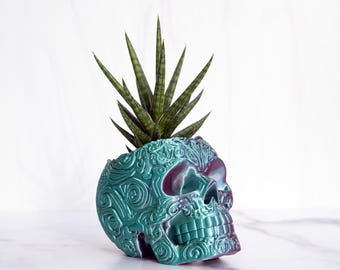 May include: A teal and purple skull-shaped planter with intricate embossed designs. The planter holds a green succulent plant with long, pointed leaves. The skull has a glossy finish and is set against a white background.