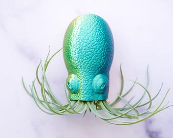 Octopus Air Plant Holder | Hanging Nautical Plant Display | Coastal Ocean Decor | Cute Desk or Wall Hanger | Gift for Plant Lovers