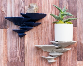 Trametes Gibbosa Mushroom Shelf | Cottagecore Fungi Wall Decor | Goblincore Mushroom Wall Shelf | Whimsical Forest Shelf