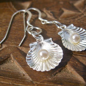 Scallop shell earrings with pearl, silver - Concha de Vieira