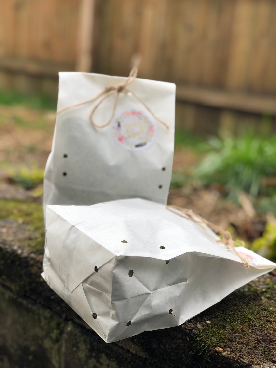 Dried eucalyptus table scatter dried table runner greenery Etsy.de