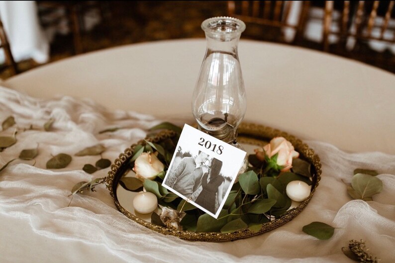 Dried Eucalyptus Table Scatter Dried Table Runner Greenery Etsy