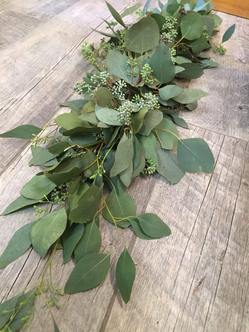 Eucalyptus Garland FRESH Silver Dollar and Seeded Eucalyptus Etsy