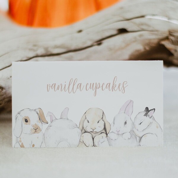 EVIE Bunny Buffet Card Template, Little Bunny Baby Shower Buffet Cards, Bunny Rabbit Food Labels Instant Printable, Gender Reveal Birthday