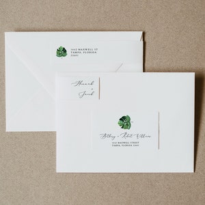 May include: Two white envelopes with a tropical leaf design and the text "1642 Maxwell Street, Tampa, Florida 33601" and "Bithy. Robert Williams". One envelope also has the text "Thank, Juil".