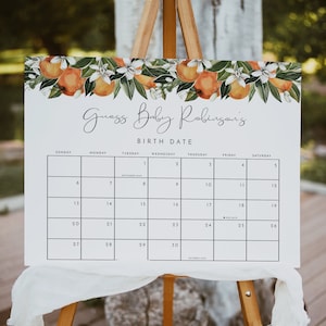 Juego de calendario de fecha de parto de Little Cutie Baby, calendario de adivinación de fecha de parto de mandarina, señal de predicción de baby shower de naranja y cítricos instantánea CALLIOPE