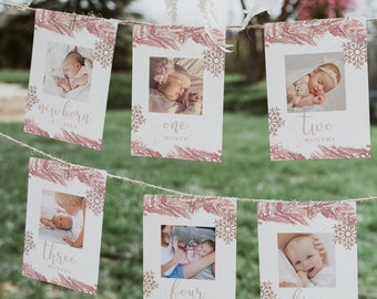 RORY First Birthday Photo Banner, 1st Birthday Photo Banner, Winter Onderland Monthly Milestone Photo Cards, Blush Pink Photo Cards Pine