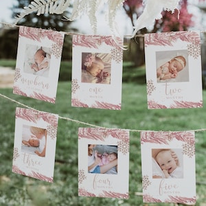 RORY First Birthday Photo Banner, 1st Birthday Photo Banner, Winter Onderland Monthly Milestone Photo Cards, Blush Pink Photo Cards Pine