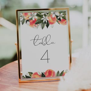 Plantilla de número de mesa de durazno SAVANNAH, números de mesa de durazno pequeños imprimibles, descarga instantánea, letreros de mesa de boda de duraznos de acuarela editables